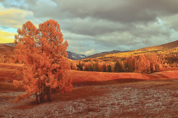 订婚都需要准备什么