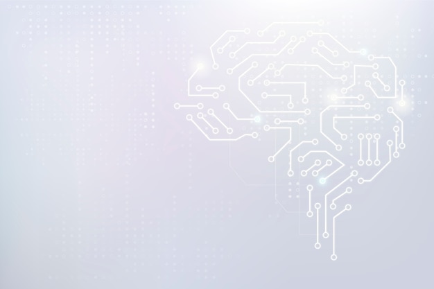 民警执法不规范整改措施